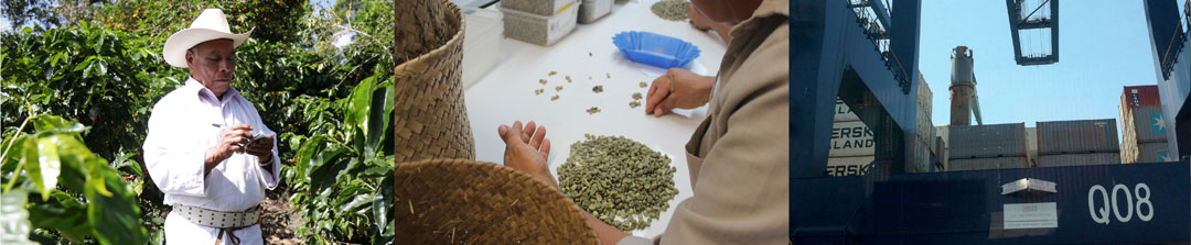 Services offered by Exportadora de Café California
